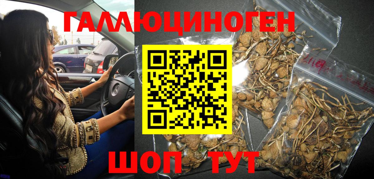 Псилоцибиновые грибы GOLDEN TEACHER Малоярославец