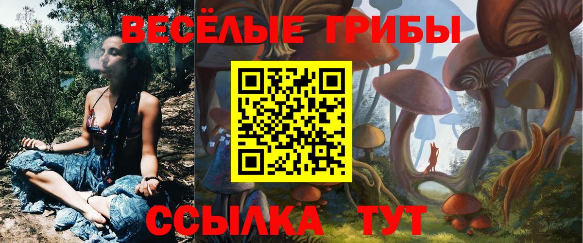 Малоярославец  Галлюциногенные грибы Psilocybine cubensis  Галлюциногенные грибы мицелий  Вход с VPN 